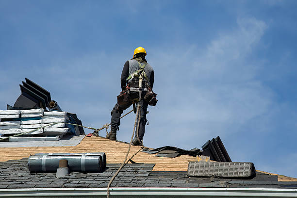 Professional Gutter Installation technician working in Elba, AL